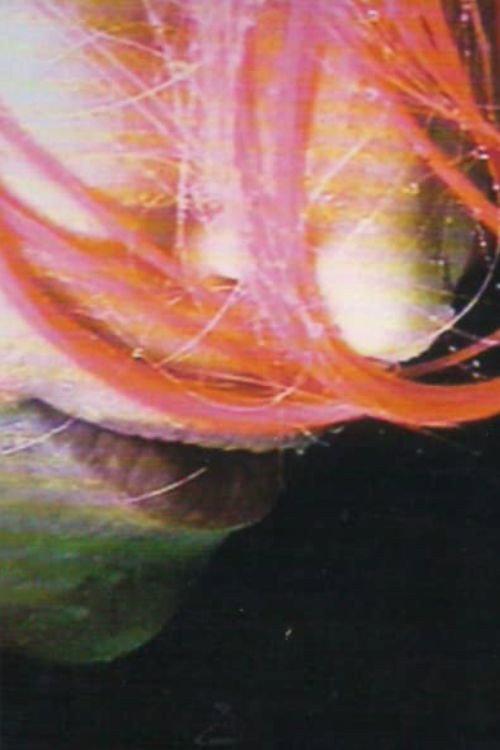 Rainwoman (I Am Called a Plant) 1999 official movie poster