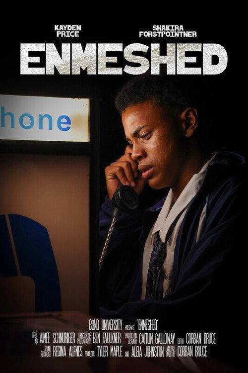 Enmeshed 2025 official movie poster