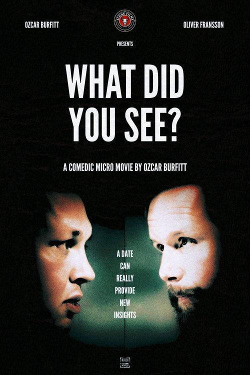 What Did You See? 2026 official movie poster