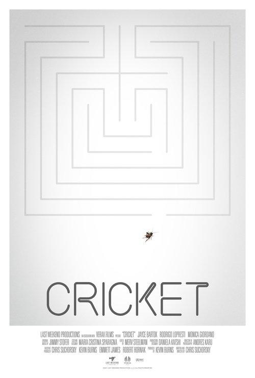 Cricket 2021 official movie poster
