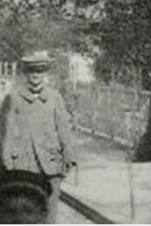Panorama of the Moving Boardwalk 1900 official movie poster
