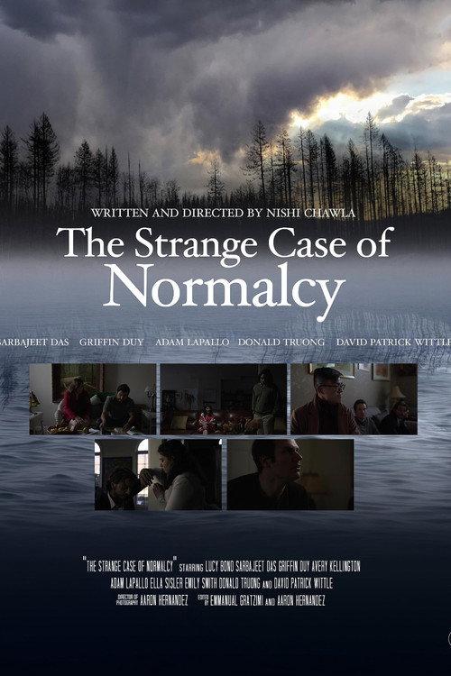 The Strange Case for Normalcy 2023 official movie poster