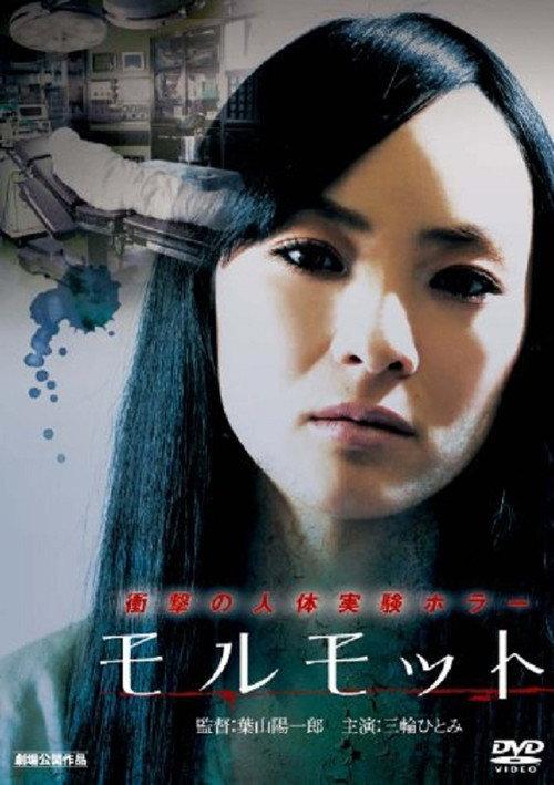 Marmot 2011 official movie poster