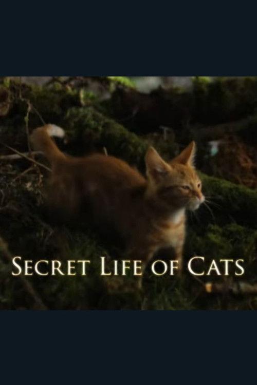 The Secret Life of Cats 2014 official movie poster