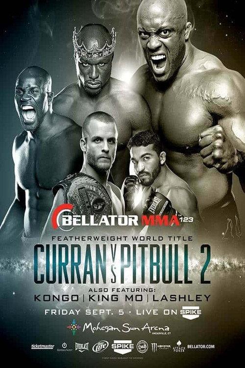 Bellator 123 2014 official movie poster