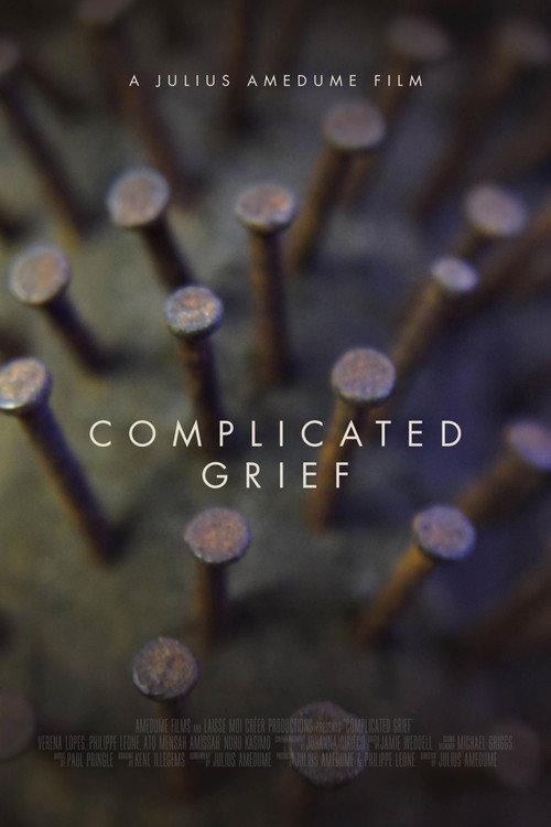 Complicated Grief 2025 official movie poster
