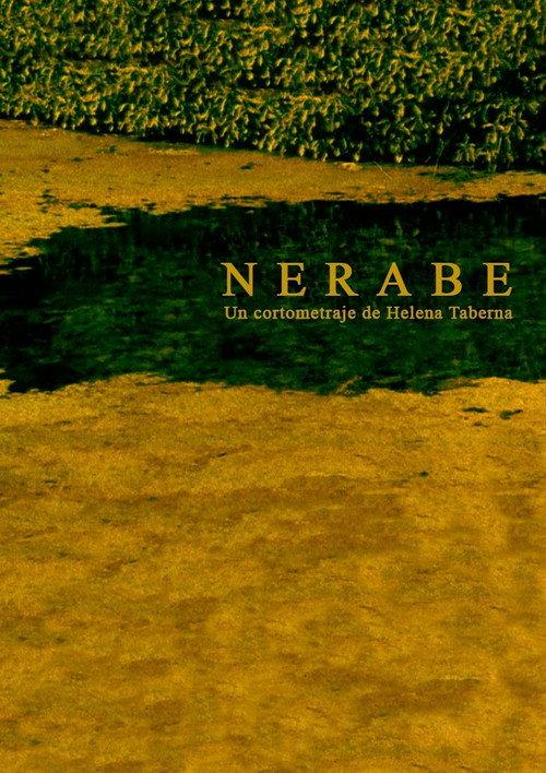 Nerabe 1996 official movie poster