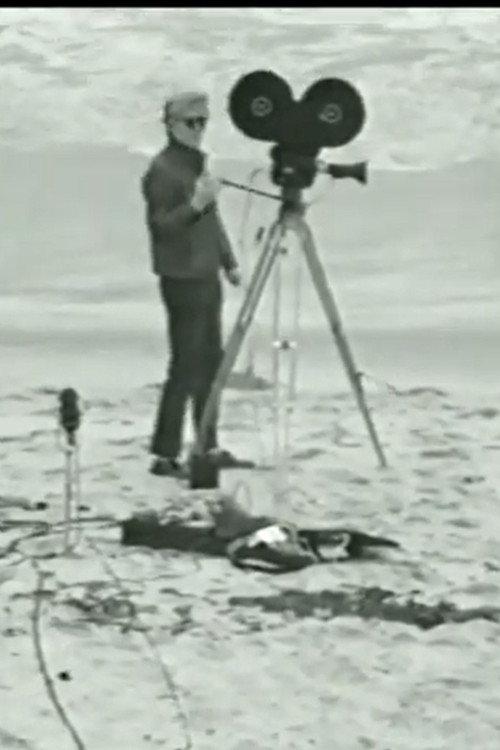 Andy Makes a Movie 1967 official movie poster