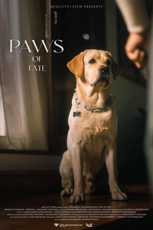 Paws of Fate 2025 official movie poster