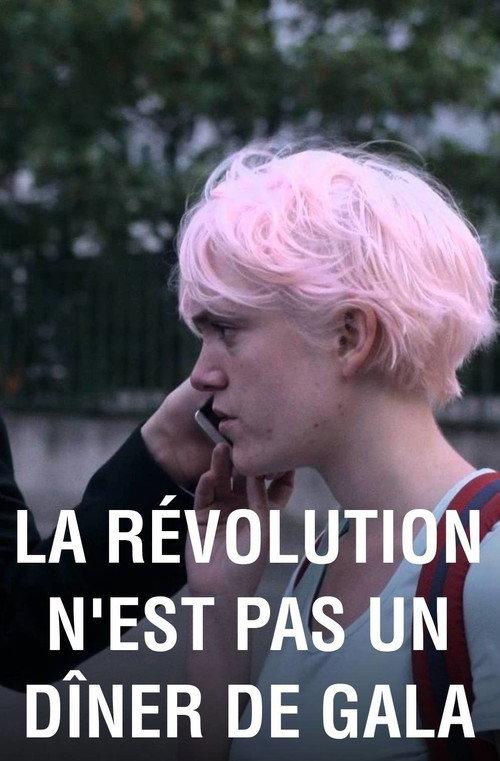 The Revolution Isn't a Gala Ball 2015 official movie poster