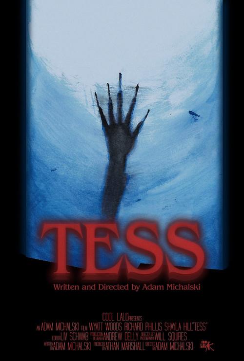 Tess 2025 official movie poster
