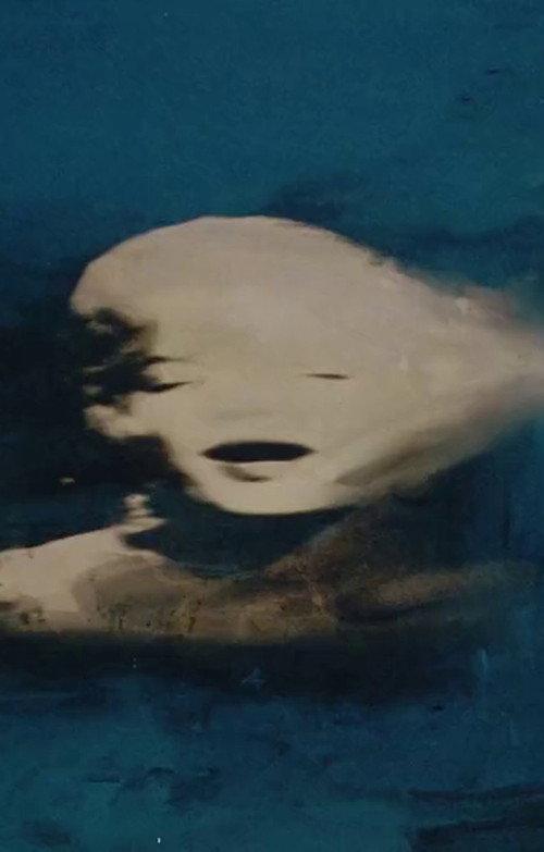 Biennale di Venezia 56° - Sigla 2015 official movie poster