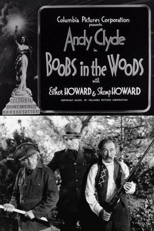 Boobs in the Woods 1940 official movie poster