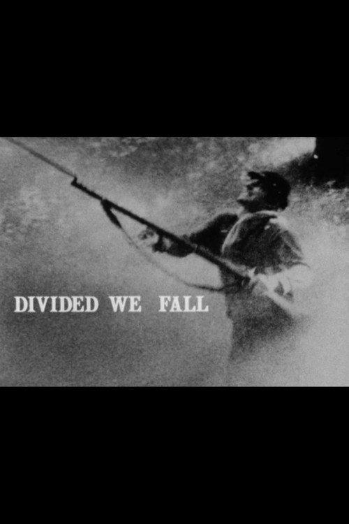 Divided We Fall 1982 official movie poster