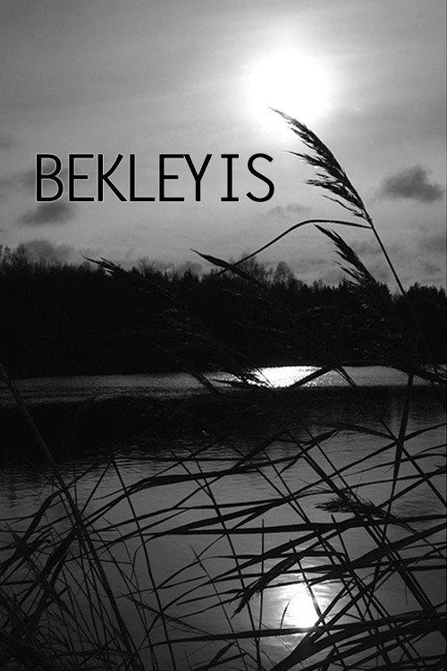 Bekleyis 1976 official movie poster