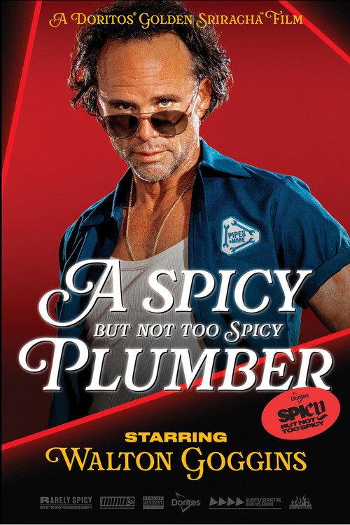 A Spicy but Not Too Spicy Plumber 2025 official movie poster