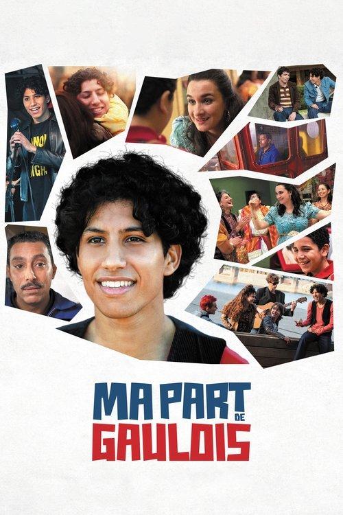Ma part de Gaulois 2024 official movie poster
