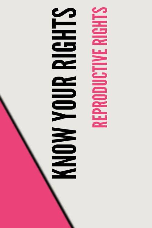 Stand UP, Speak OUT: Reproductive Rights - Know Your Rights 2023 official movie poster