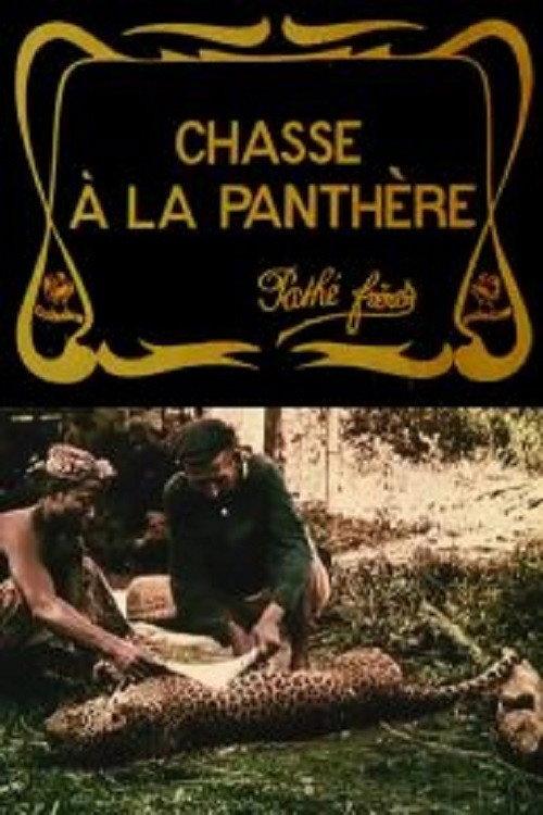 Hunting the Panther 1909 official movie poster