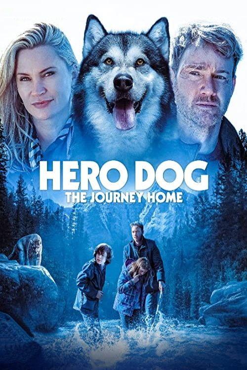 Hero Dog: The Journey Home 2021 official movie poster