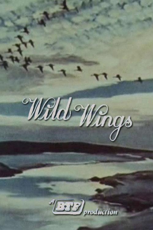 Wild Wings 1966 official movie poster