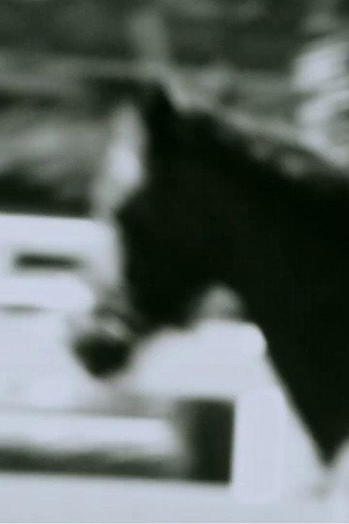 Untitled (Horse) 2014 official movie poster