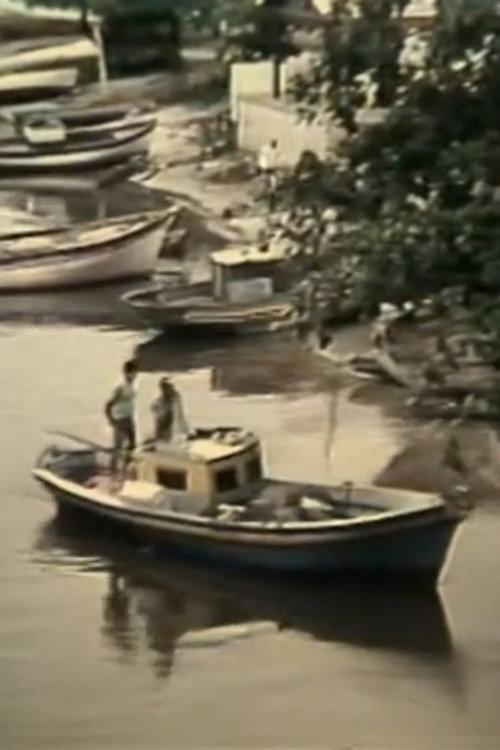 O Grito do Rio 1981 official movie poster