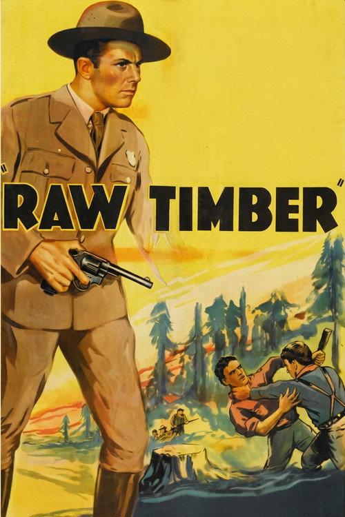 Raw Timber 1937 official movie poster