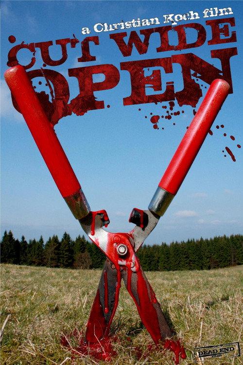 Cut Wide Open 2010 official movie poster