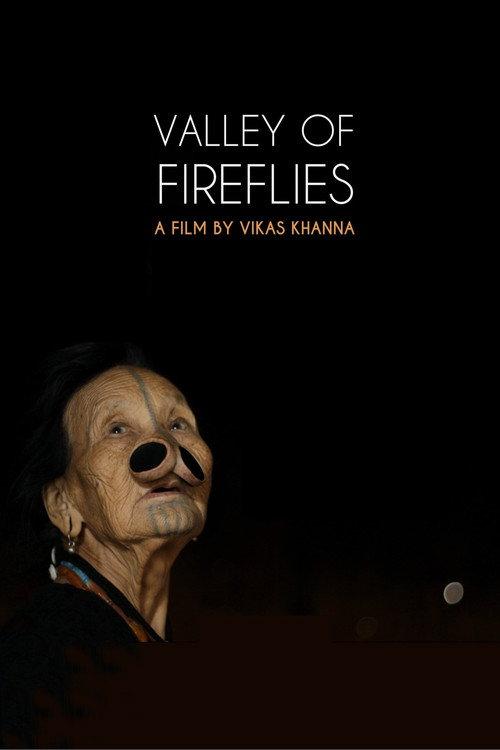 Valley of Fireflies  official movie poster