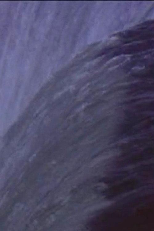 Five Year Diary, Reel 31: Niagara Falls (August 19–28, 1983) 1983 official movie poster