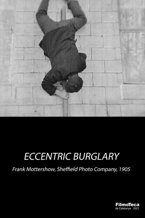An Eccentric Burglary 1905 official movie poster