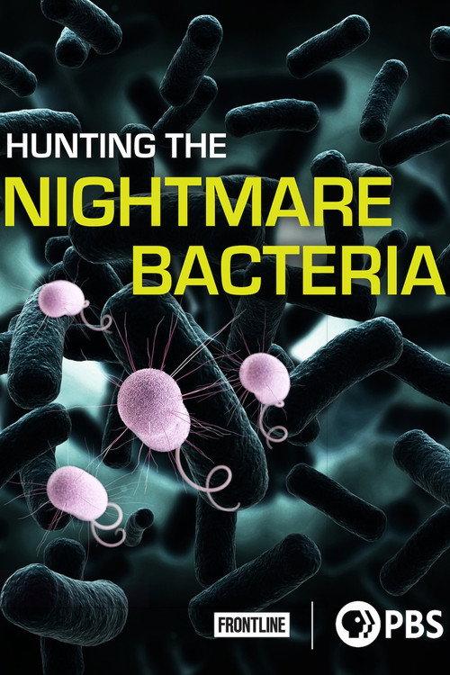Hunting The Nightmare Bacteria 2013 official movie poster