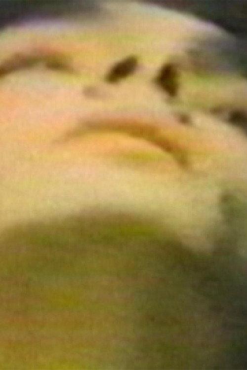 The Hundred Videos #1 1996 official movie poster