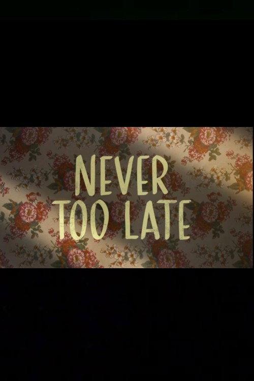 Never Too Late 2025 official movie poster