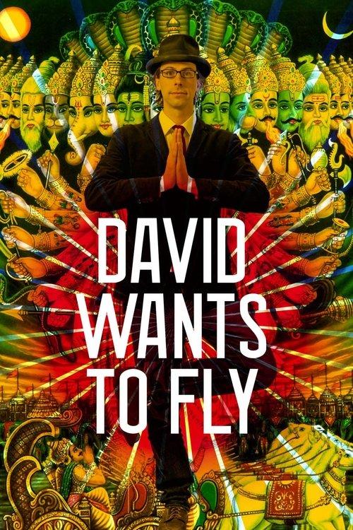 David Wants to Fly 2010 official movie poster