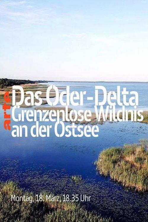 The Oder-Delta - A Wilderness without Borders 2019 official movie poster