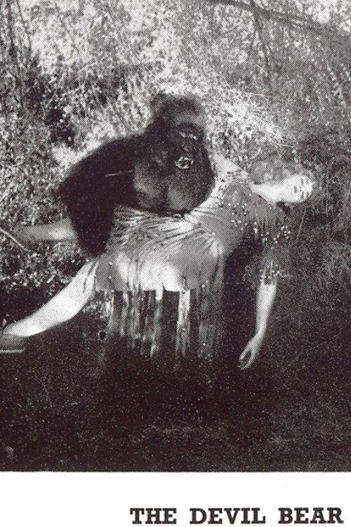 The Devil Bear 1929 official movie poster
