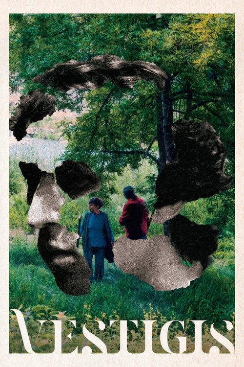 Vestigis 2024 official movie poster