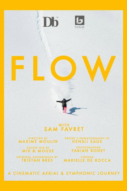 FLOW 2021 official movie poster