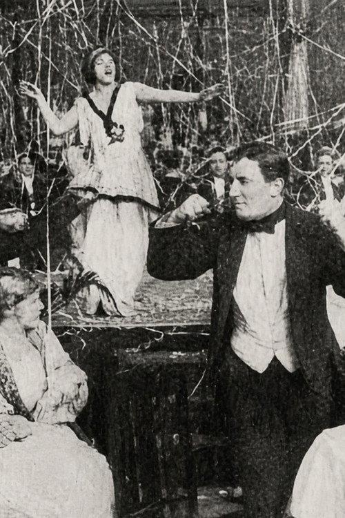 The Billionaire 1914 official movie poster