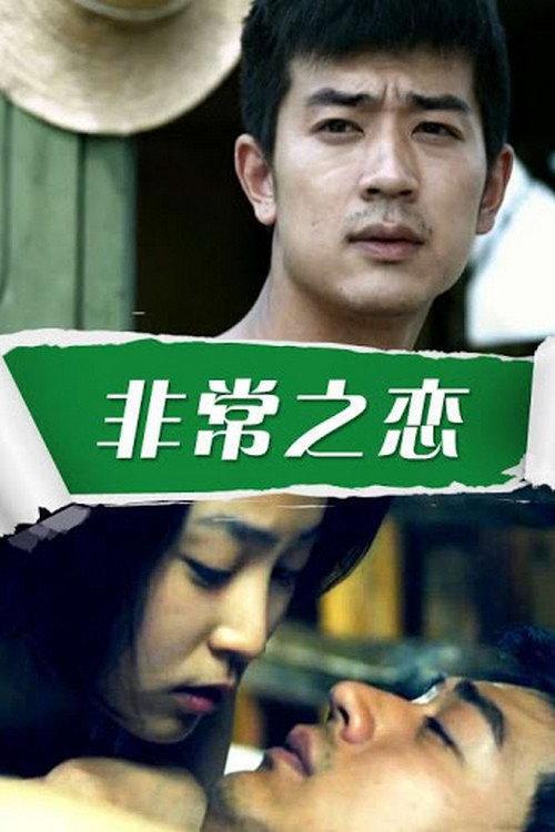 Crossing the Border 2011 official movie poster