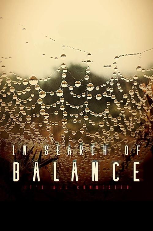 In Search of Balance 2016 official movie poster