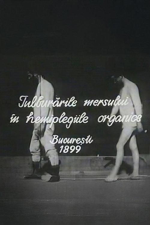 Walking Troubles of Organic Hemiplegy 1898 official movie poster