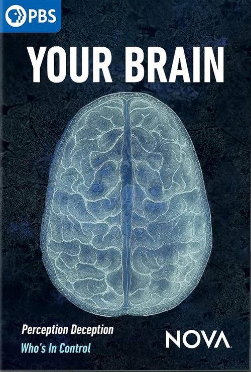 Your Brain 2023 official movie poster