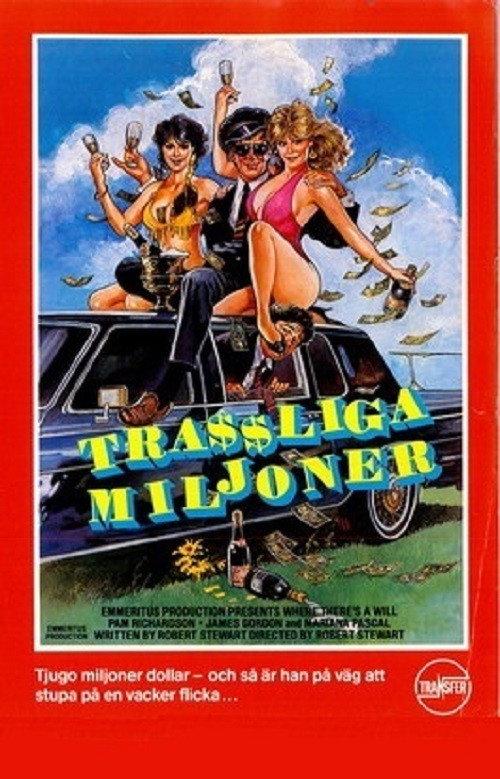 Where There's a Will 1987 official movie poster