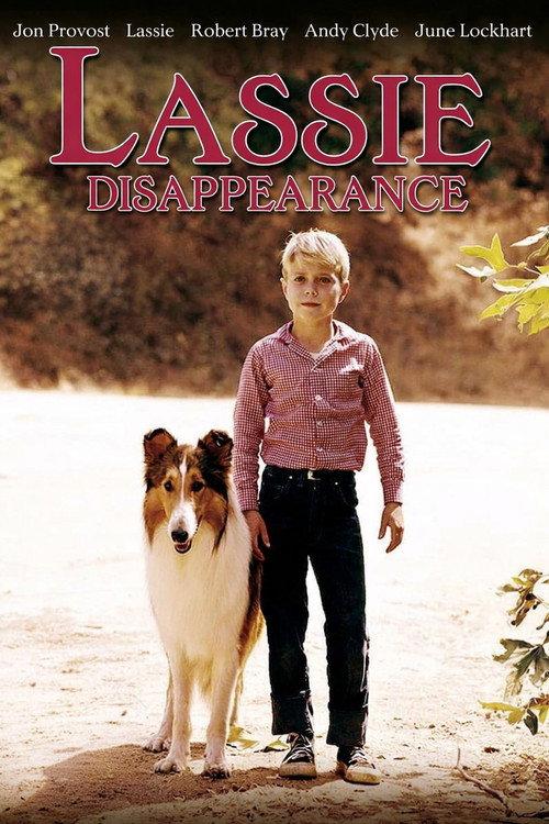 Lassie: Disappearance 1964 official movie poster