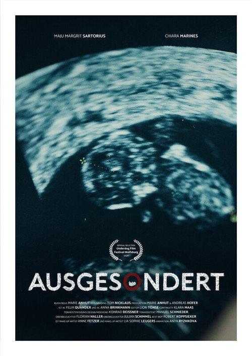 Screened Out 2025 official movie poster