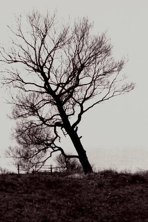 The Harrowed Coast 1992 official movie poster