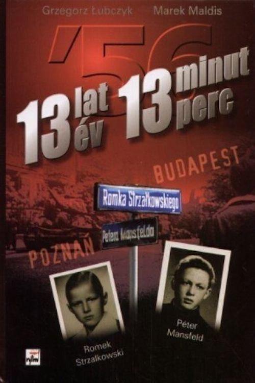 13 Years, 13 Minutes 2008 official movie poster